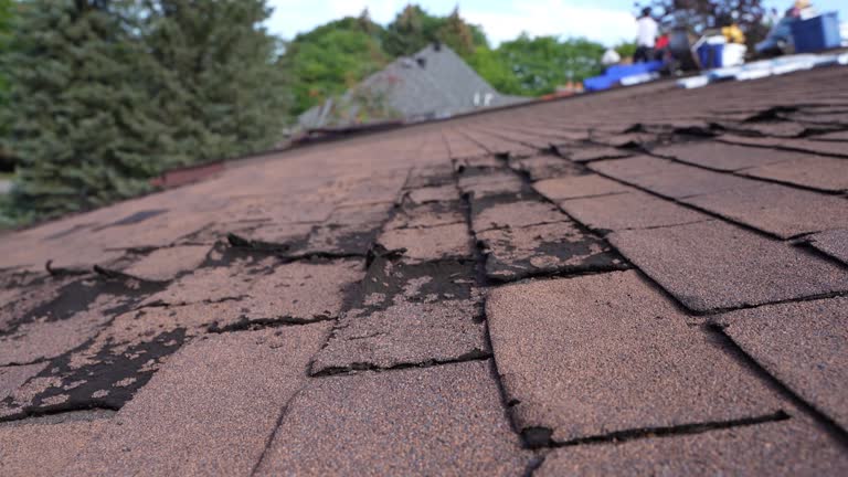 Best Chimney Flashing Repair  in North Browning, MT